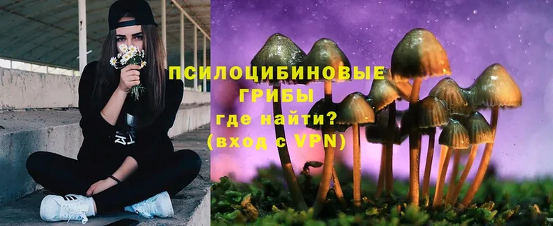 наркота  Белорецк  Галлюциногенные грибы MAGIC MUSHROOMS 